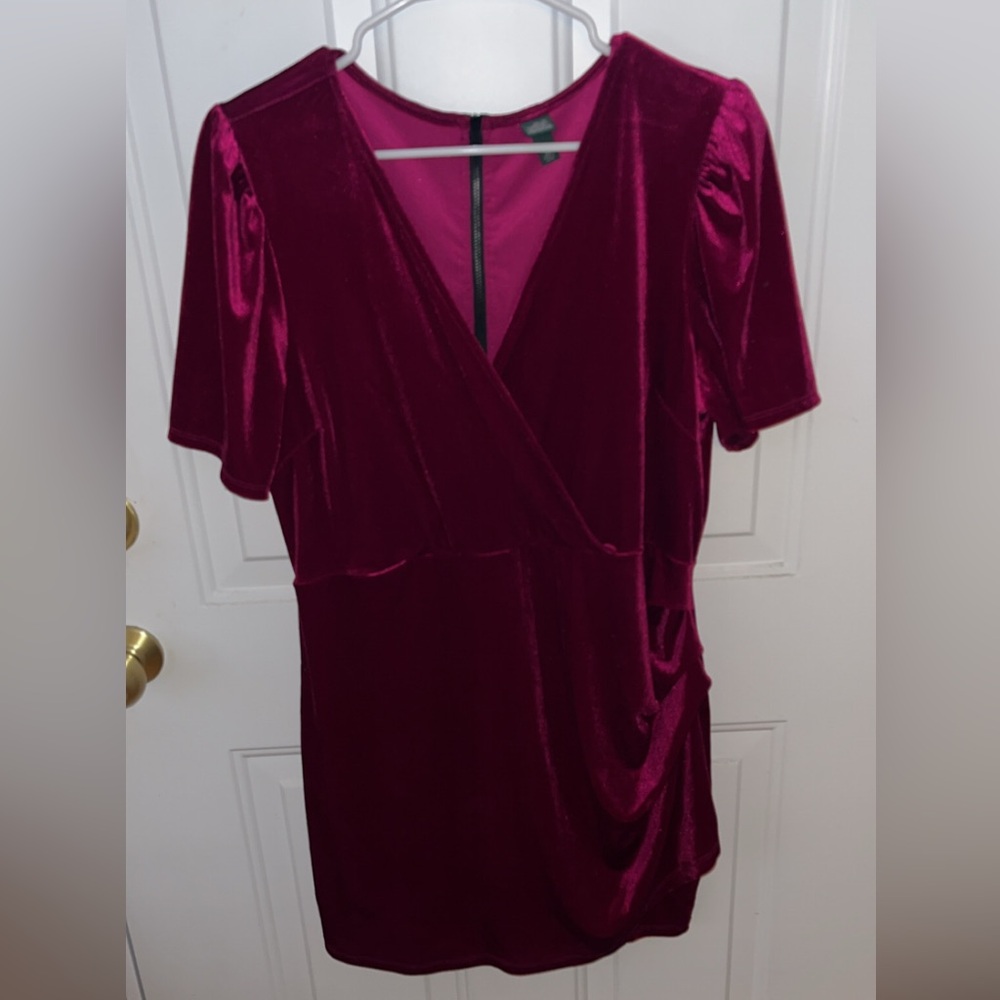 Wild Fable Burgundy Velvet Dress